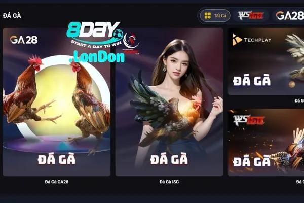 Đá Gà 8DAY  Đá Gà Trực Tiếp Campuchia, Thomo